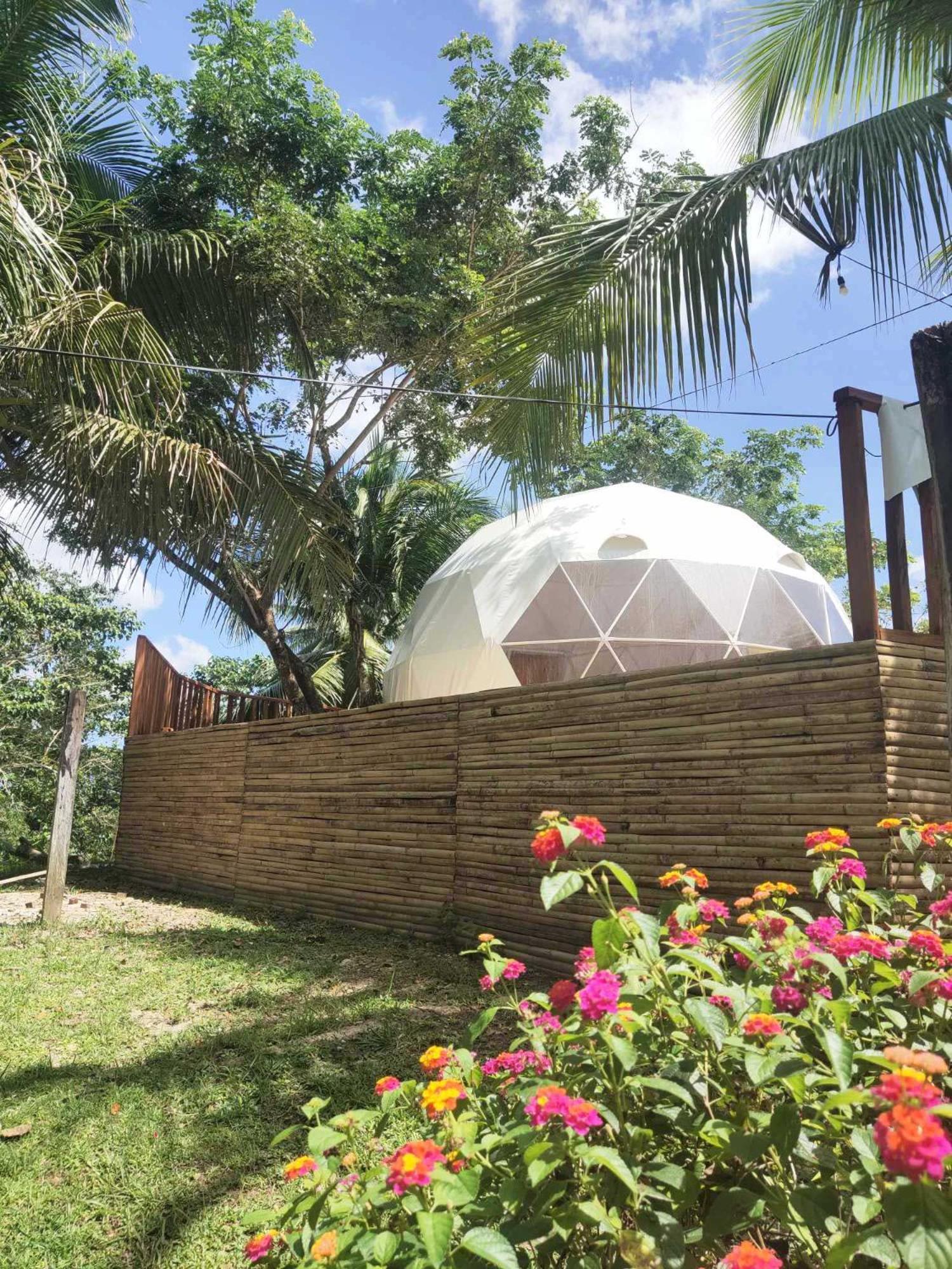 Eco Glamping Treehouses Closest Resort To All Tourist Attractions Balilihan ภายนอก รูปภาพ